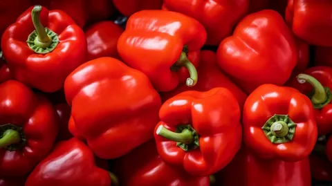 تصویر 4 از فلفل دلمه سرخ درشت براق روزچین یکدست ممتاز